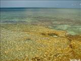 Playa el Gallito - VIEQUES